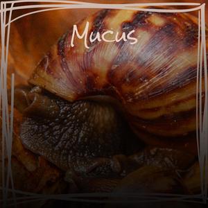 Mucus