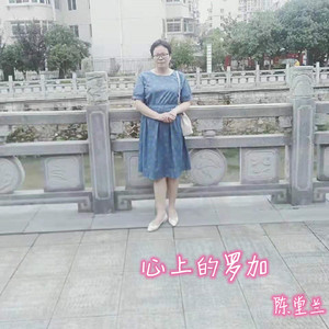 心上的罗加