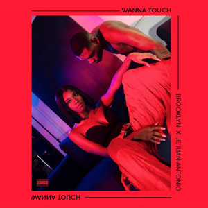 Wanna Touch (Explicit)