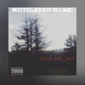 SICK_MF_JAY Album(feat. CARBON X, Rob Zilla, Kaze The Wolf & LowTow & Shadow The Ghost) (Explicit)