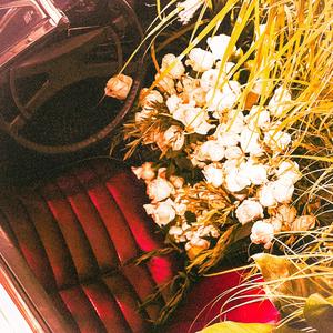 flowers (feat. Spilly Cave & Shane Becker)