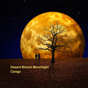 Desert Bloom Moonlight