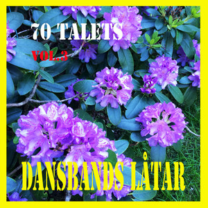 70 talets dansbands låtar Vol, 3