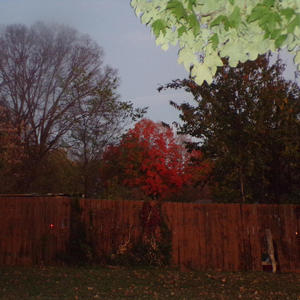 osoarin - love should always hurt