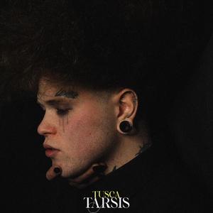 Vieille Amie (Version Acoustique)