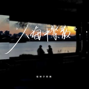 短辫子阿姨 - 人海中聚散