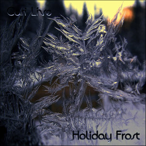 Holiday Frost