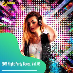 EDM Night Party Booze, Vol. 05