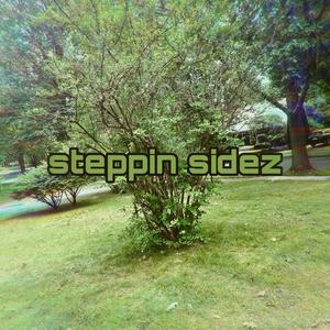 Steppin Sidez (Explicit)