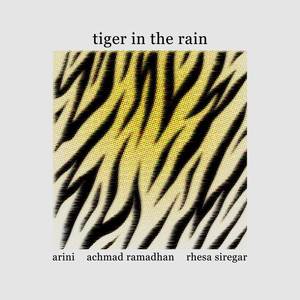 Tiger in the Rain