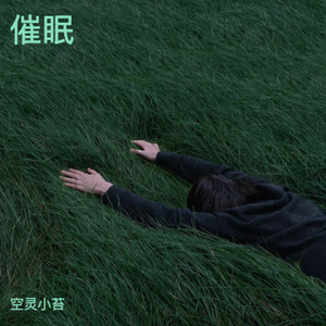 催眠 (空灵小苔版)
