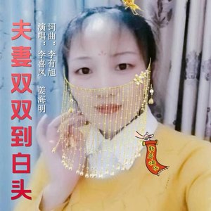 夫妻双双到白头