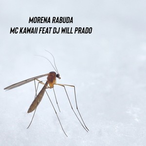 Morena Rabuda (feat. DJ Will Prado) (Explicit)