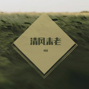 清风未老