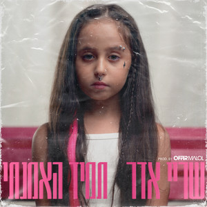 תמיד האמנתי