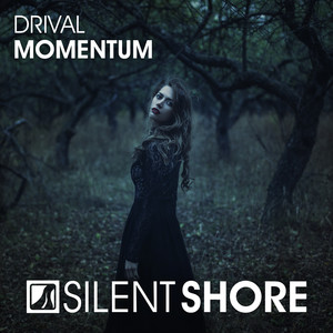 Momentum (Original Mix)