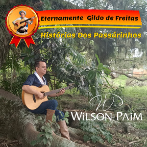 Histórias dos Passarinhos - Eternamente Gildo de Freitas