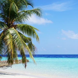 Liquid Sunshine Ambience