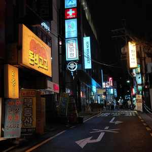 多情的黄泉路-连山雀