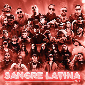 BLOQUE 5-R (Explicit)