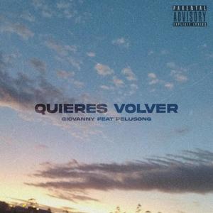 Quieres volver (feat. pelusong) [Explicit]