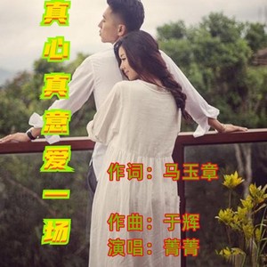 真心真意爱一场