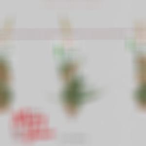 Mary Jane (Explicit)