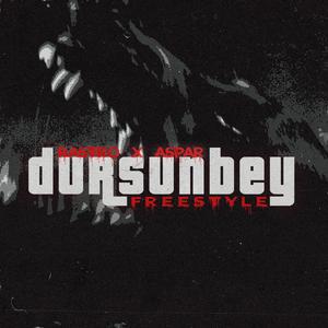 dursunbey freestyle (feat. Aspar266)