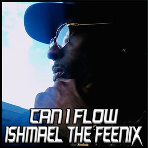 Can I Flow (Explicit)