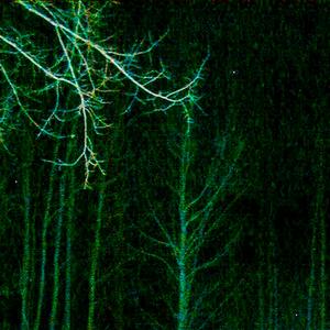 light green (Explicit)