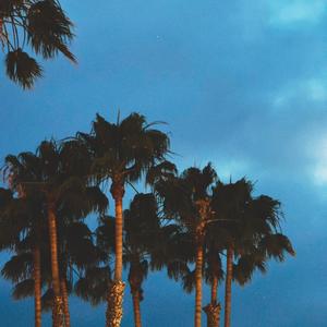 wecouldfallinluvagain (Explicit)