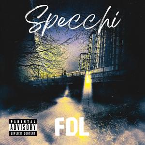 Specchi