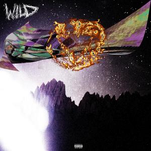 WILD (Explicit)