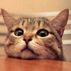 有一种思念叫远方 (Demo)