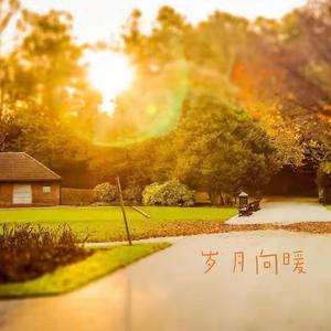 岁月向暖 (伴奏)