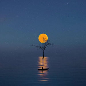 风是从哪儿来wu