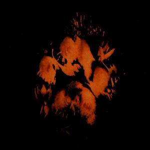 CALISUN (Extended Version|Explicit)