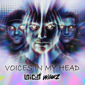 Voices In My Head