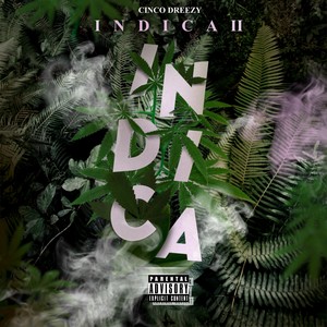 Indica 2 (Explicit)