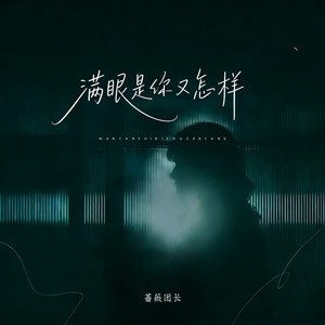 满眼是你又怎样