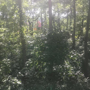 Too much sticks! (feat. Motion)