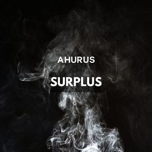 Surplus (Radio Edit)