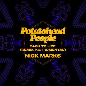 Back To Life (Instrumental Remix)