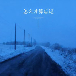 怎么才算忘记-东木木