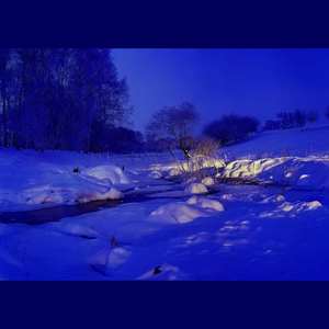 像一只鸟（Vocaloid ver.）