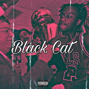 Black Cat (Explicit)