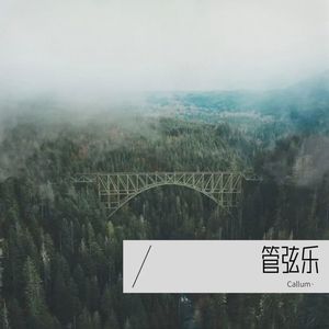 DITTO封面