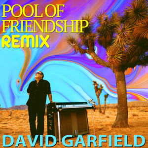 Pool of Friendship (Remix)