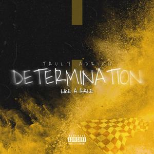 Determination (Explicit)