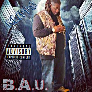 B.A.U. Business As Usual (Explicit)